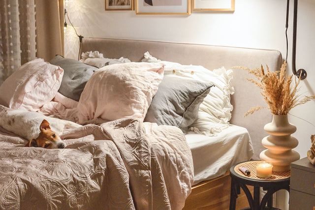 Pet Friendly oraz Magic Clean w łóżka tapicerowanych berke