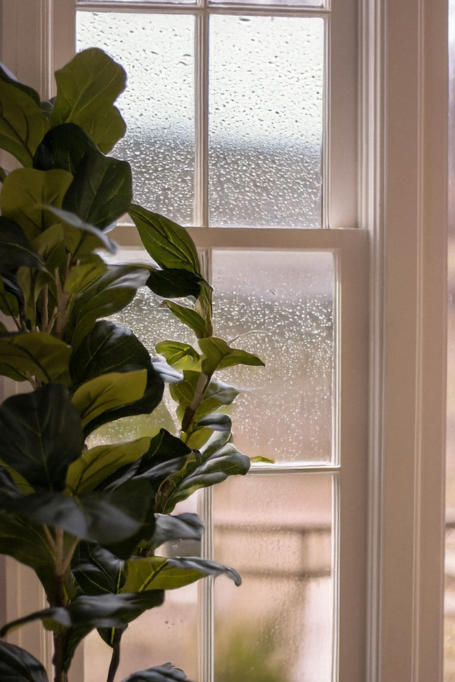 Wilgoć w domu – przyczyny, skutki i sposoby eliminacji