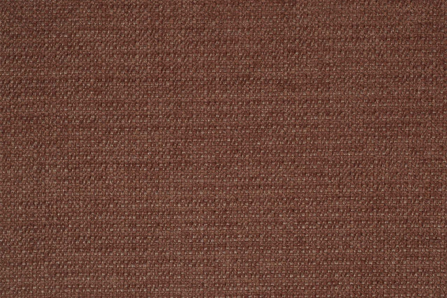 Material sample Coral_46