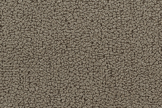 Próbka materiału Taupe_52