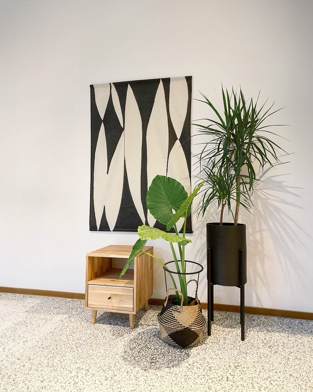 Kwiaty doniczkowe cieniolubne do ciemnych pomieszczeń