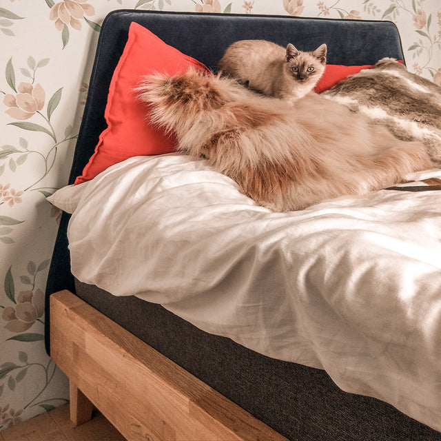 Łóżko do sypialni w stylu japońskim azjatycka sypialnia minimalistyczna japandi 6